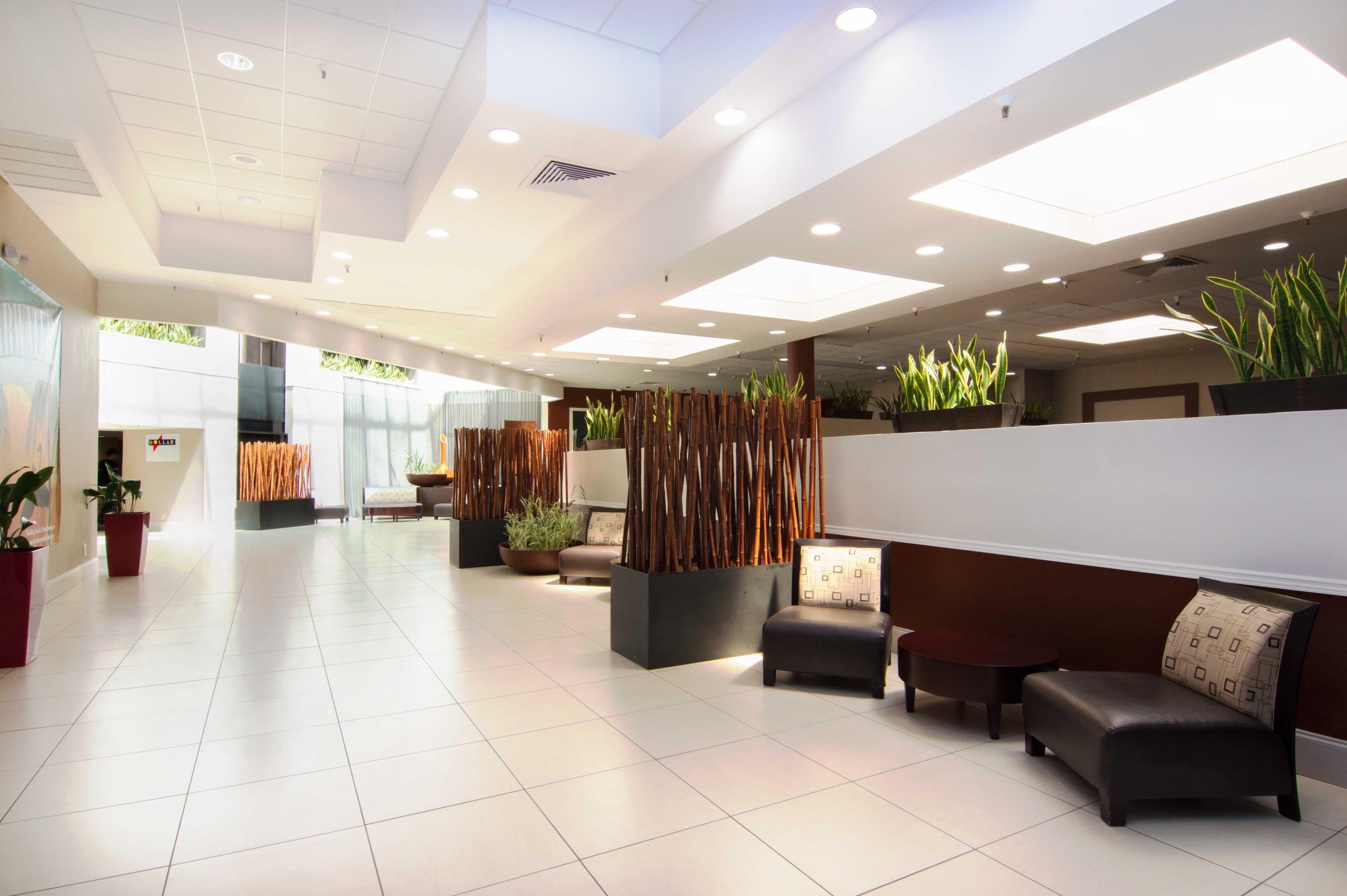 Holiday Inn St. Petersburg N - Clearwater, An Ihg Hotel Екстер'єр фото